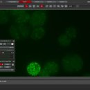 IL 소프트웨어 이미지