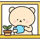 하천리-13 이미지