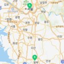 달루나캣츠 고양이전문 평택점 이미지