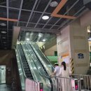 세븐일레븐 부천위브점 | 부천홀케이크 맛집, 블루베리 가득했던 파티세리 라피네 미니홀케이크 픽업 후기