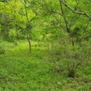 구산면611 이미지