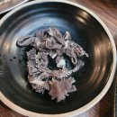 육심쟁이 이미지