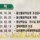 서사분교 이미지