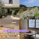 회현동 명소거리 남산옛길 | 서울 여자 혼자 놀기 회현역 놀거리 코스 카페 계단집 남산 성곽길