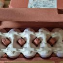 푸름농장 이미지