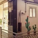 우리집강아지예쁘개 이미지