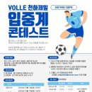 볼레미디어