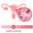 [유쭈리뷰] 정가진면역연구소 올리브영에서 세일판매중인 팬톡 프로바이오틱 페미닌 하이진 이너케어...