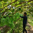 지리산하늘펜션 이미지