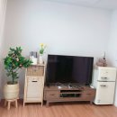 유유한가 | 제주 애월 감성 독채 펜션 : 유유한가 (에어비앤비)