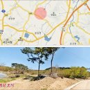 평지개발