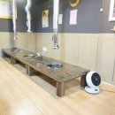 명품돼지 이미지