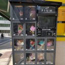 망고뽑기방 이미지