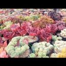 해림농장 이미지