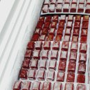 케이포닉스 이미지