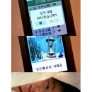 여자백서
