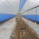 박경순농장 이미지