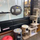 펫마트 홍성점 이미지