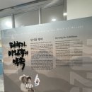 학생독립운동기념관 | 지금 광주는, 광주학생독립운동기념관 광복80주년 특별전시 [태극기,바람속의약속] 태극기전시회