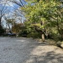 궁지골농원 이미지