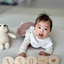 179모터스 | 또롱일기 - 5개월차 기록 (150일-179일)