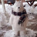 홍이네샤브칼국수 | 깔끔하고 건강한 맛 산격동 유통단지 깔끔한 맛집 "홍이네 샤브칼국수" 솔직후기