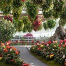 수목원레저 이미지