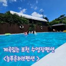 펜션허브 | 포천 수영장펜션 늘푸른허브펜션 이용후기 아이랑 놀기 좋은 당일치기 계곡 추천