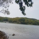 고구낚시터 이미지