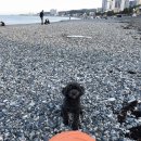 수원-0428 이미지