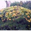 서대신동지하철역 1번 출구 이미지