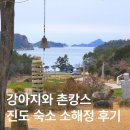 진도펜션 소해정 | 진도 소해정 반려견 동반 숙소 후기｜구옥 독채 촌캉스 2박 3일