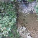 금당계곡 펜션 이미지