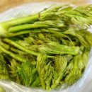 문바위농장 이미지