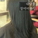 대구 내당동 미용실 장미미용실, 푸석한 머릿결 모발 케어 클리닉 받아본 후기