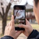 폰카로 사진 잘 찍는 방법 | 평생 소장 포토북을 위한 스마트폰 사진 잘 찍는법 7가지