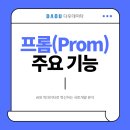 프롬(Prom) 이미지