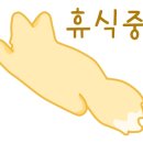 비바피아노