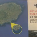 애삐리바당 이미지
