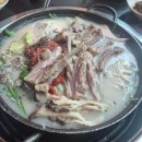창조족발 | 평택 이충동 맛집 '염소야' 흑염소 남자친구 기력 올려주려 방문한 후기!