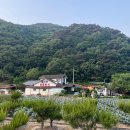 월악산황토펜션 이미지