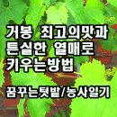 최고의맛 이미지