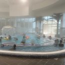 스프링폴 이미지