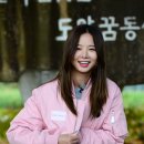 꽃놀이패 이미지