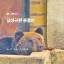 달성공원 | 달성공원 동물원 상세 후기 대구 가볼만한곳