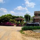 금율로 2 이미지