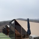 위고 | 공주 히어위고글램핑 후기｜아이와 가기 좋은 글램핑, 자쿠지+놀이터 완벽