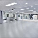 용인대 매화태권도 이미지