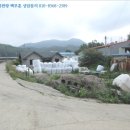 영천주유소 이미지