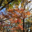 한라산둘레길 천아숲길 이미지